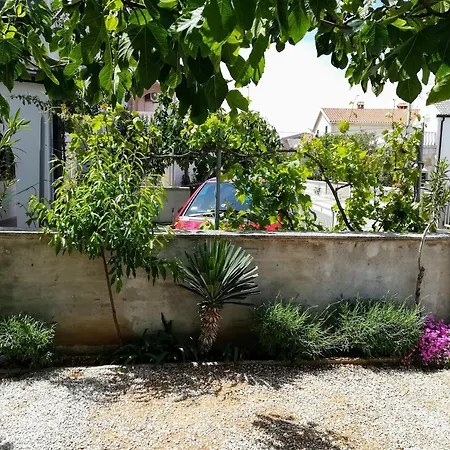 Vera No 3 Appartement Vir