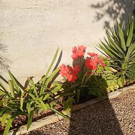 Apartmán Vera No 3